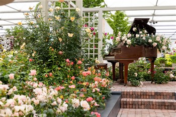 Chelsea Flower Show & Kew Gardens 