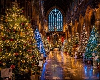 Chesterfield Christmas Tree Festival