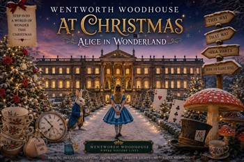 A Curious Festive Adventure